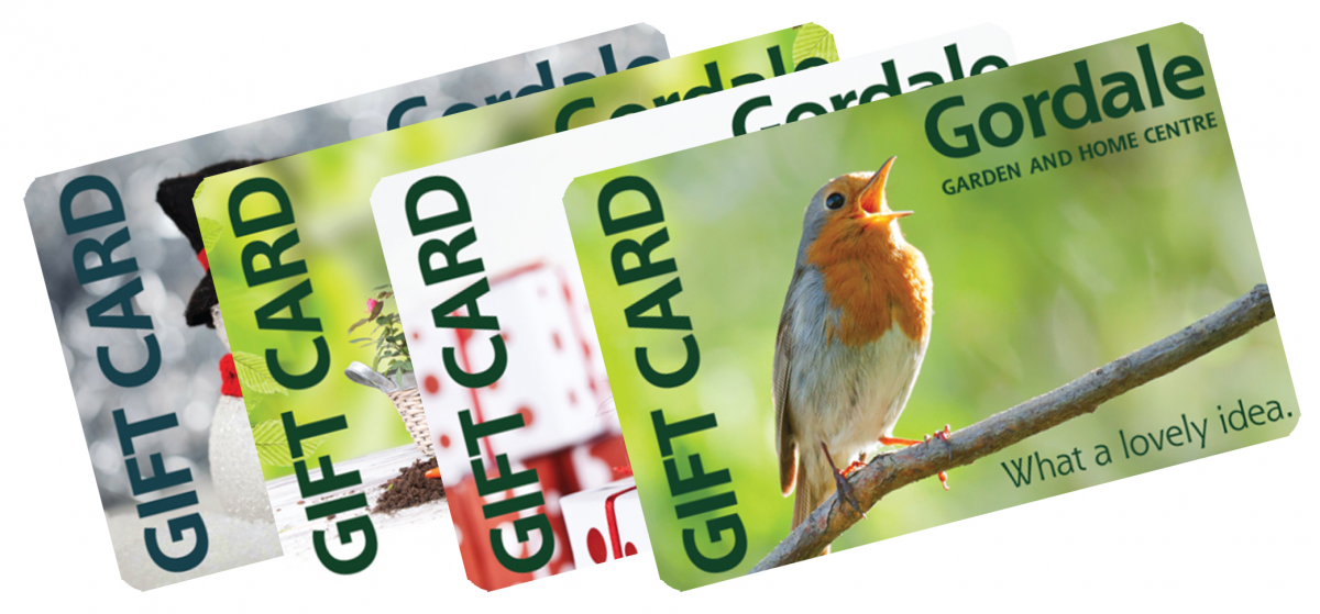 Order Gift Card | Down To Earth Garden Center | Eau Claire, WI