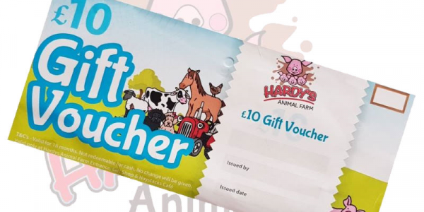 Gift Vouchers