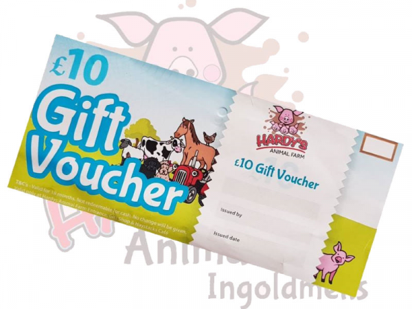 Gift Vouchers