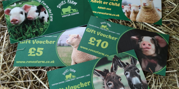 Gift Tickets & Vouchers