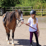Own a Pony Day