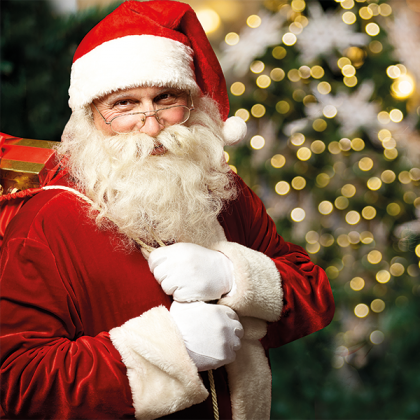 Santa's Grotto