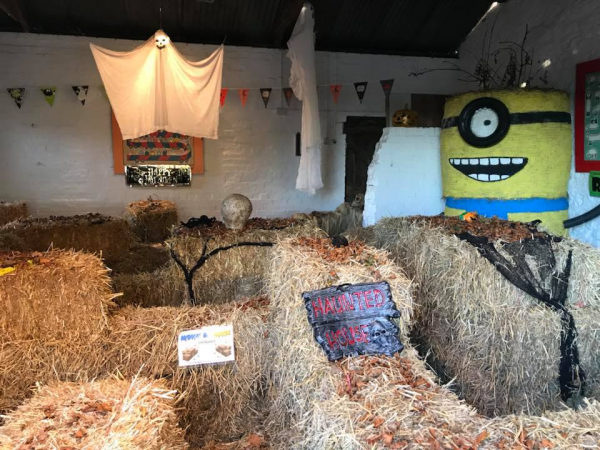Halloween at the Farm (18th October - 2nd November)