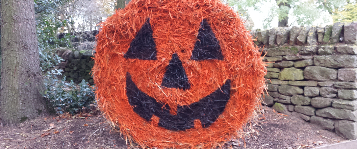Halloween at the Farm (17th October - 1st November)
