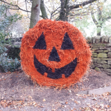 Halloween - 26th October to 3rd November 2019