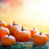 October Half Term 2020