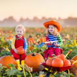 Halloween Pumpkin Patch