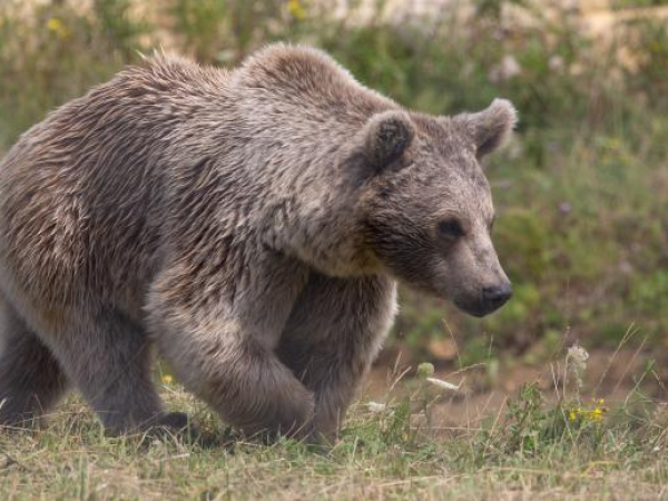 Hamerton Zoo Park Tickets, Products, Membership Plans, Gift Vouchers ...