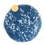 "Under the sun" exhibition by Anne Guest