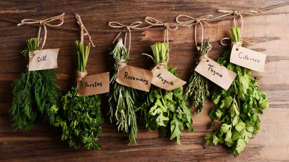 Benefits of Herbs Workshop