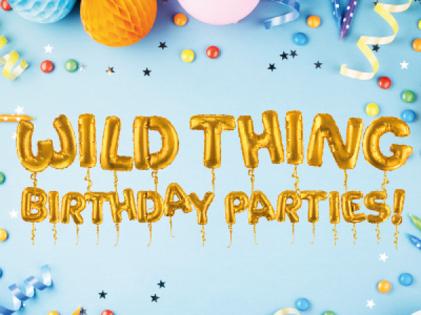 Birthday Parties (Winter)