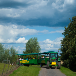 Group tickets for Summer Clubs, schools or Large Groups
