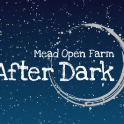 After Dark Events