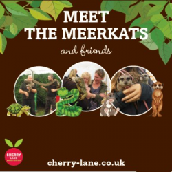 Meet The Meerkats & Friends 2017