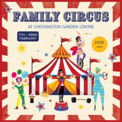 February Half Term Circus
