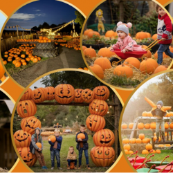 Autumnul pictures with pumpkins, bonfires and ghosts