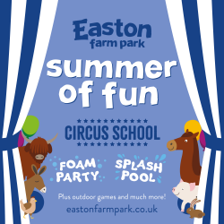 Summer of Fun
