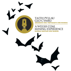 Welsh Museums festival - Make a bat box