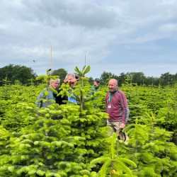 Summer Open Days