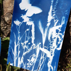Cyanotype Printing Workshop - Families