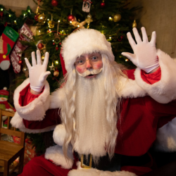 Christmas Experience