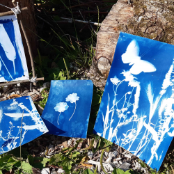 Cyanotype Printing Workshop - Adults