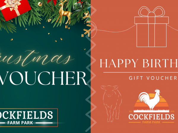 Gift Vouchers
