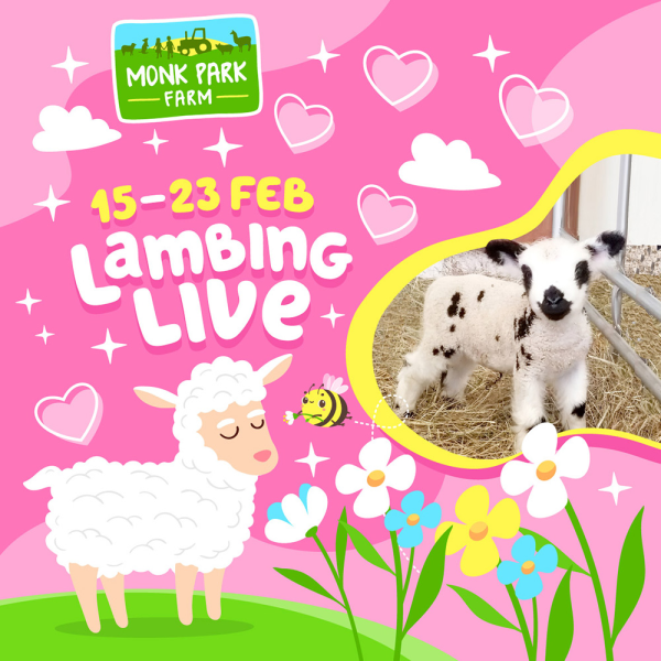 Monk Farm Monk Park Farm Tickets, Products, Membership Plans, Gift Vouchers - Buy ...