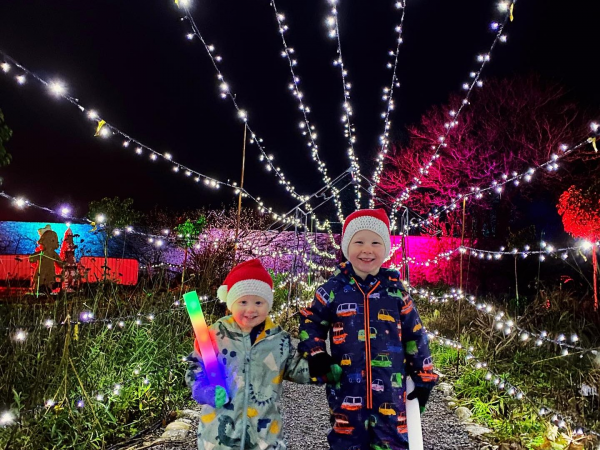 Christmas at Fonmon Castle
