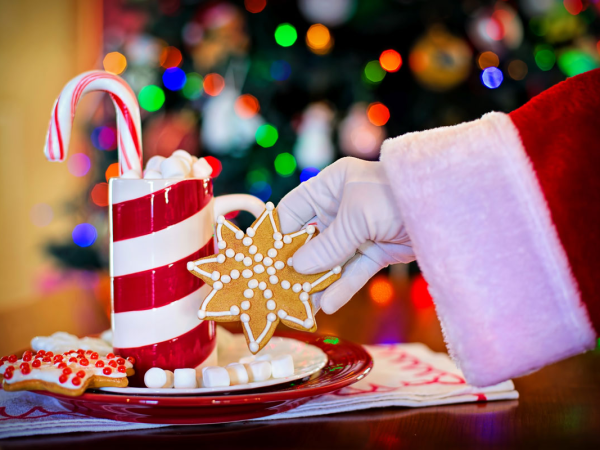 Splendiferous Tea with Santa