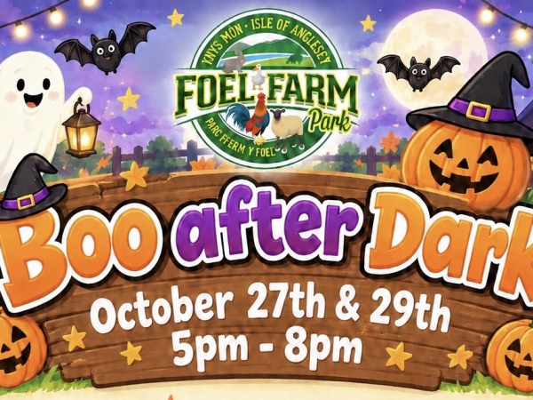 Boo after Dark
