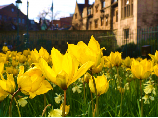 Springtime Garden Tours