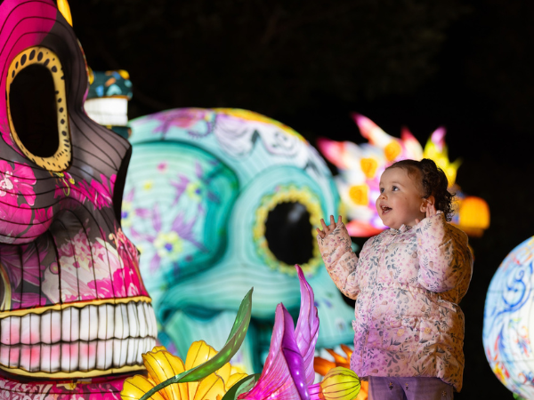 Wild Lights 2026