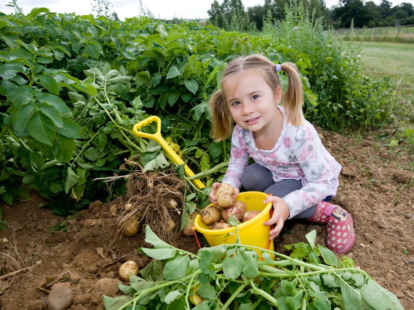 Spud-tacular Fun 2026