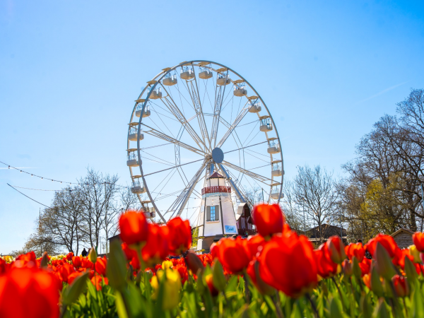 The Tulleys Observation Wheel