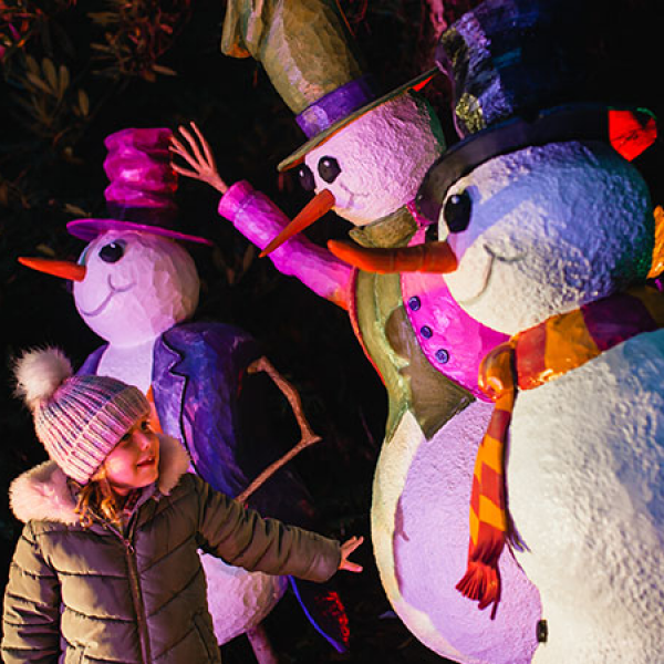 BeWILDerwood Presents Christmas