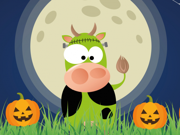 Halloween Pumpkin Patch 2025