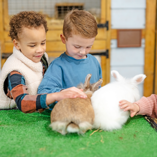 Mead Open Farm Tickets, Products, Bundles, Membership Plans, Gift