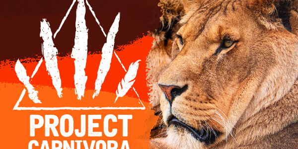 Project Carnivora