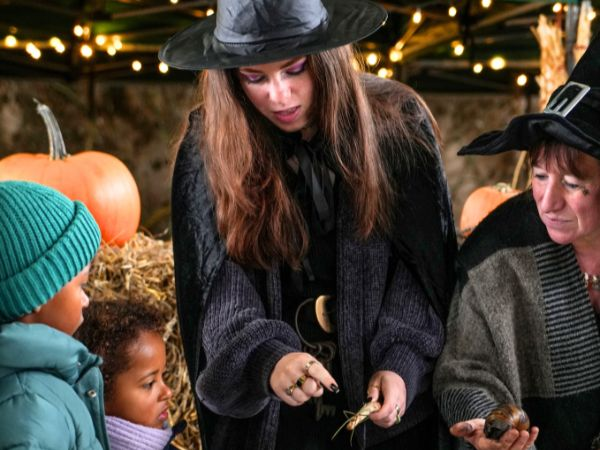 Halloween event in Buckinghamshire