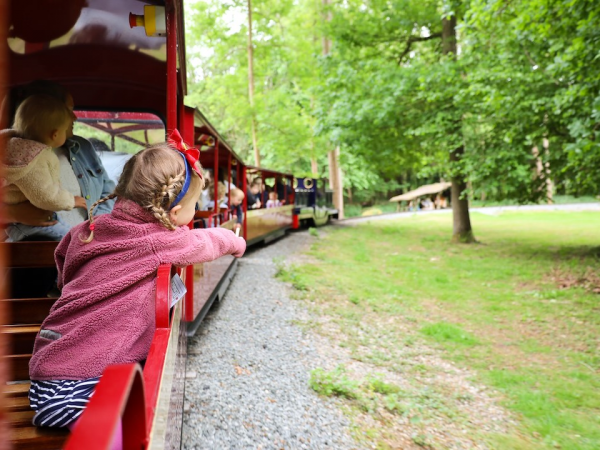 Woodland Adventure Days - 21st March - 4th October