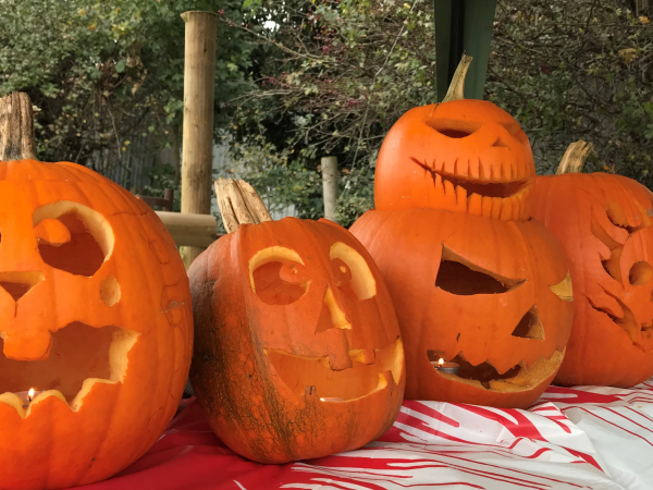 General Admission inc. Halloween & Pumpkin Hunt