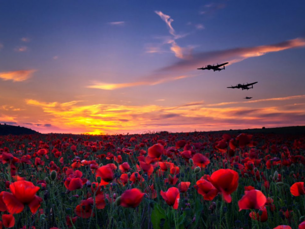 Remembrance Day 2025 Midlands