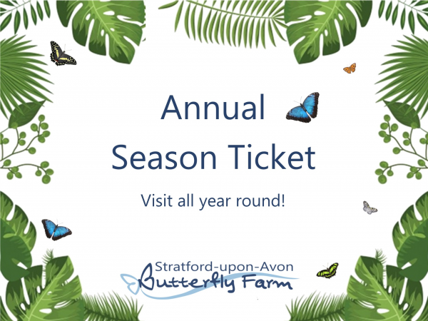 Annual Season Ticket