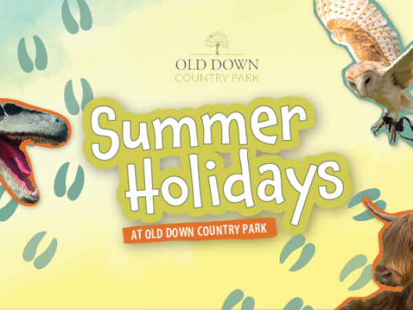 Summer Holidays