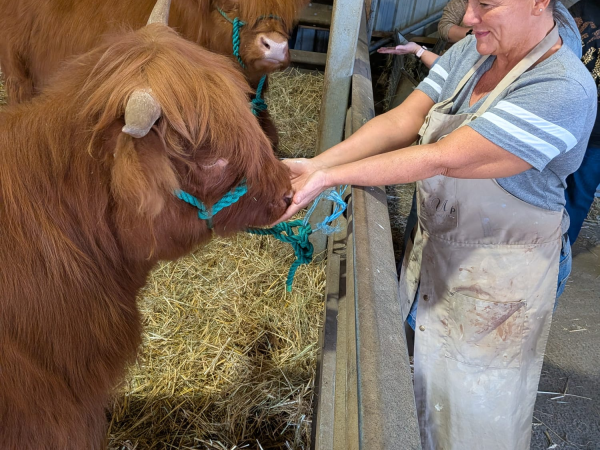 Adult 'Dates or Mates' Farm Nights