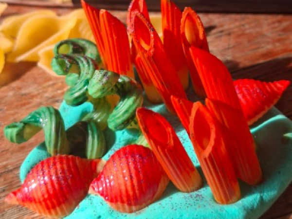 Create your own Coral Garden