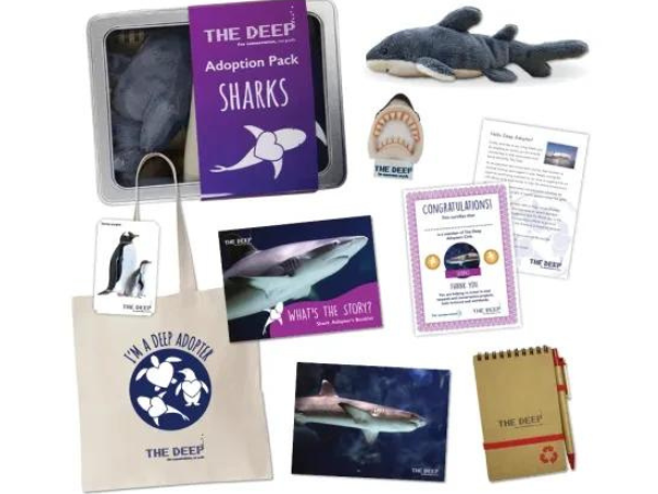 Adoption Packs