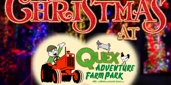 Christmas at Quex