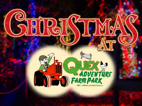 Christmas at Quex